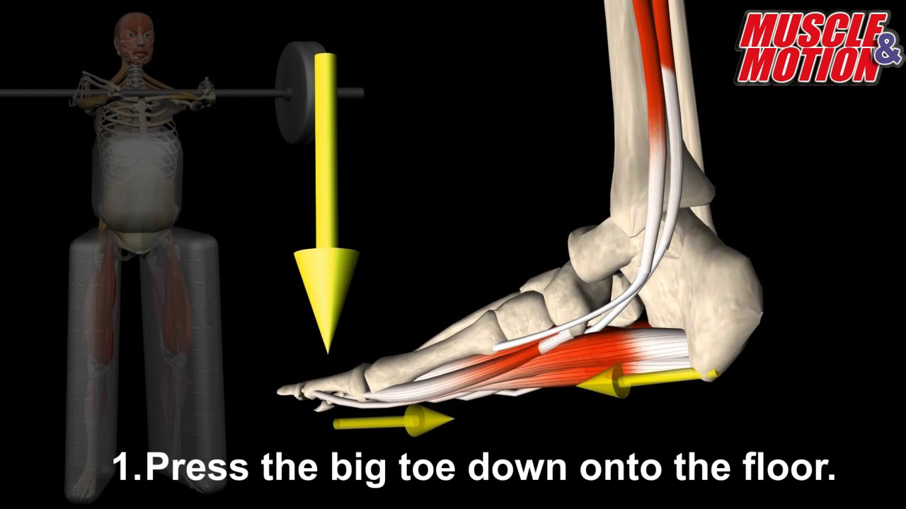 Gripping the Ground During Squatting