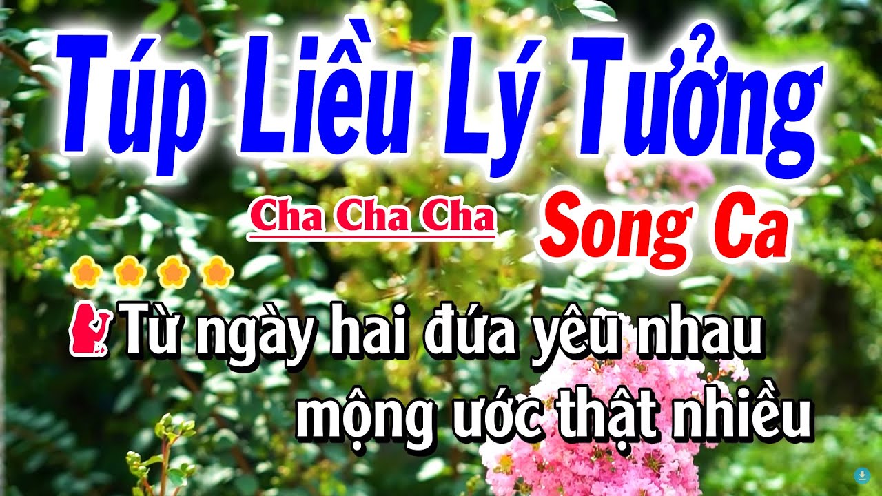 Túp Liều Lý Tưởng Karaoke Song Ca Dm ( Rê Thứ - Cha Cha ) Tuyết Nhi
