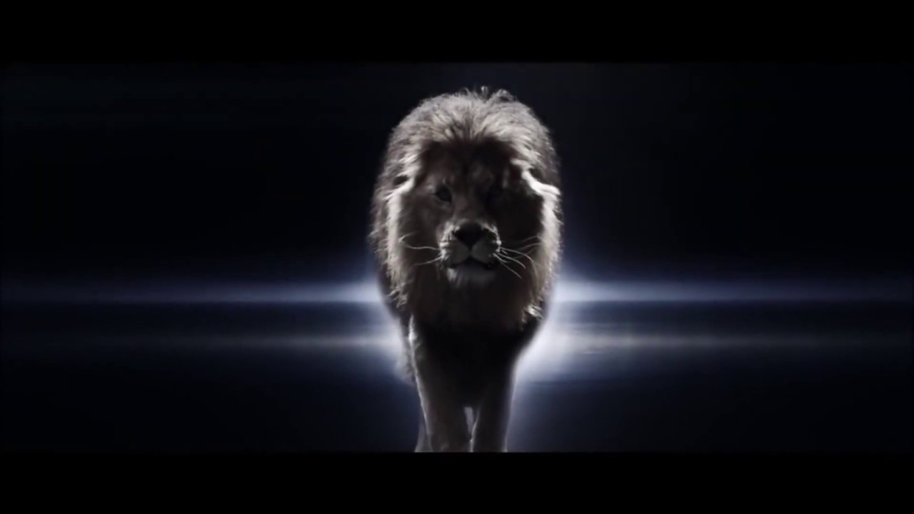 Leão Background HD (Fundo em Movimento) / LION BACKGROUND