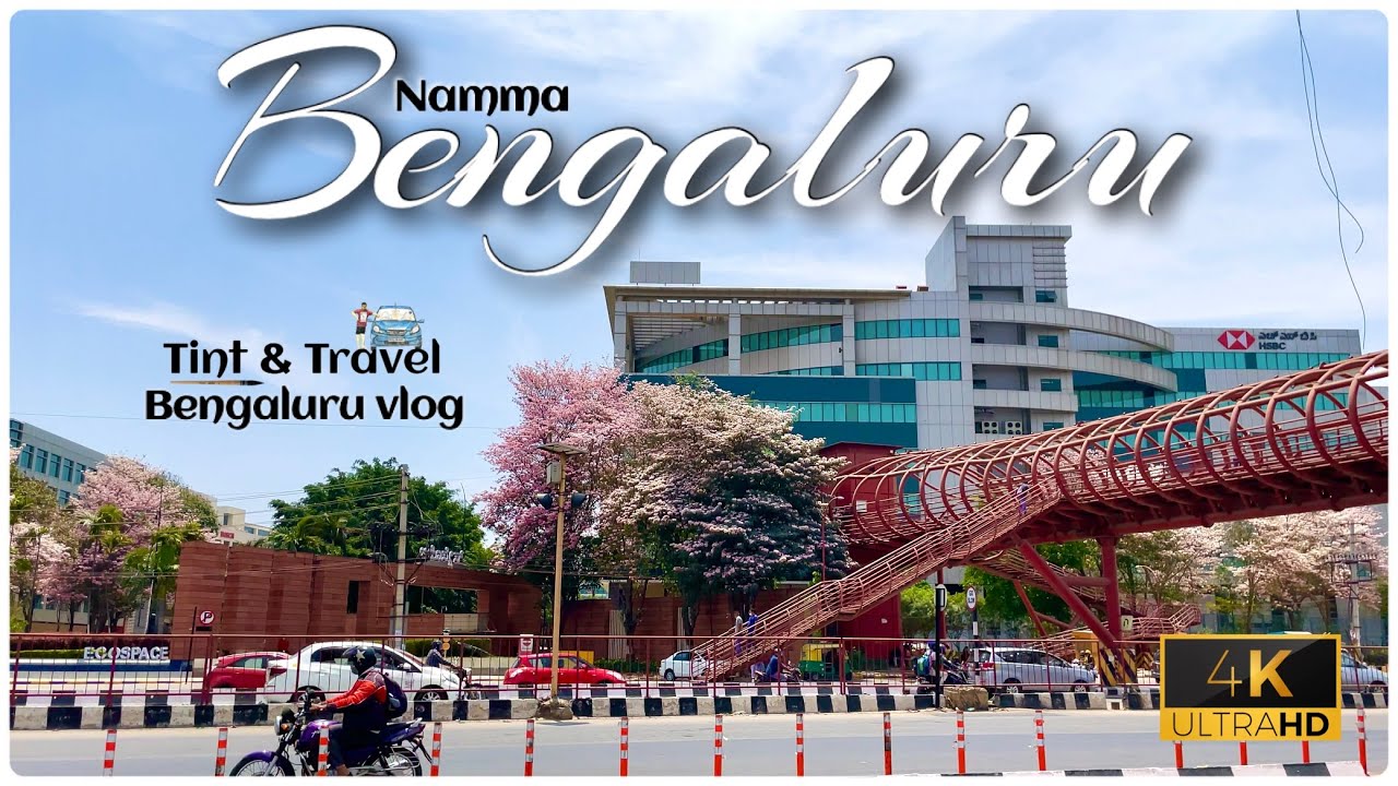 Bengaluru turns pink |  #cherryblossoms | KR Puram Hanging Bridge | Namma Metro| #Bengaluru vlog |4K