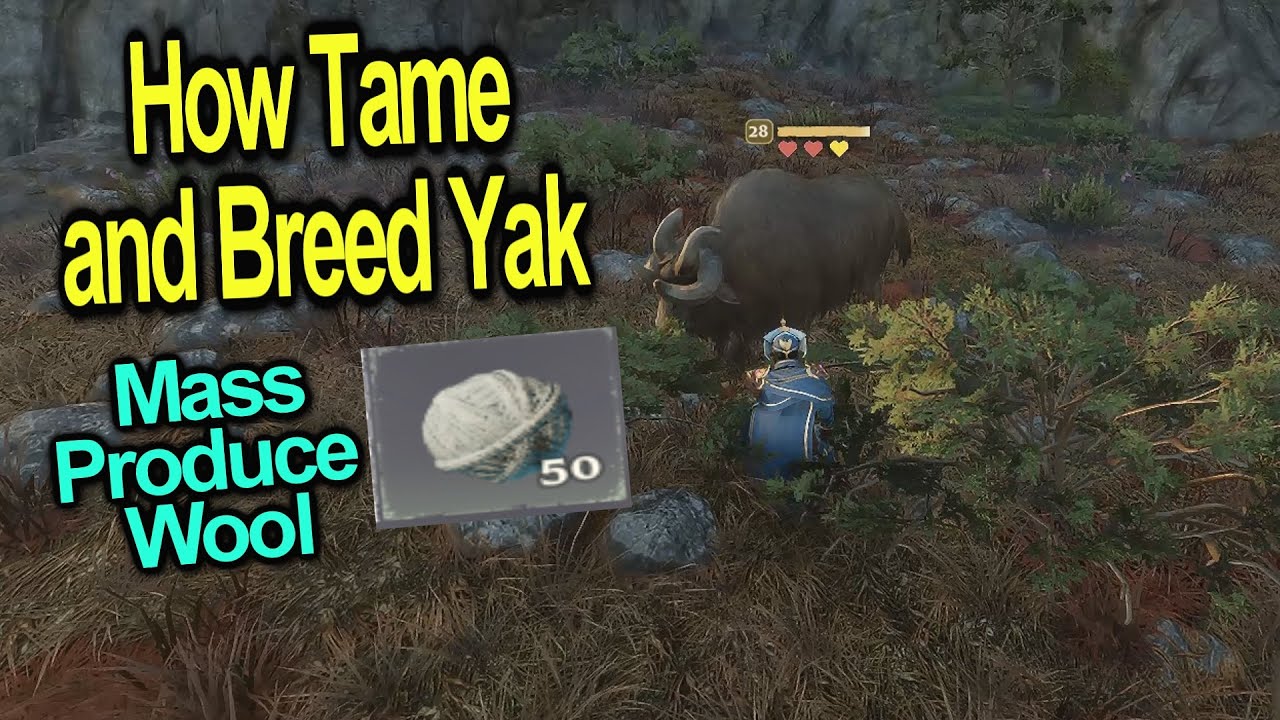 How to Tame and breed Yaks | Mass produce Wool | Enshrouded