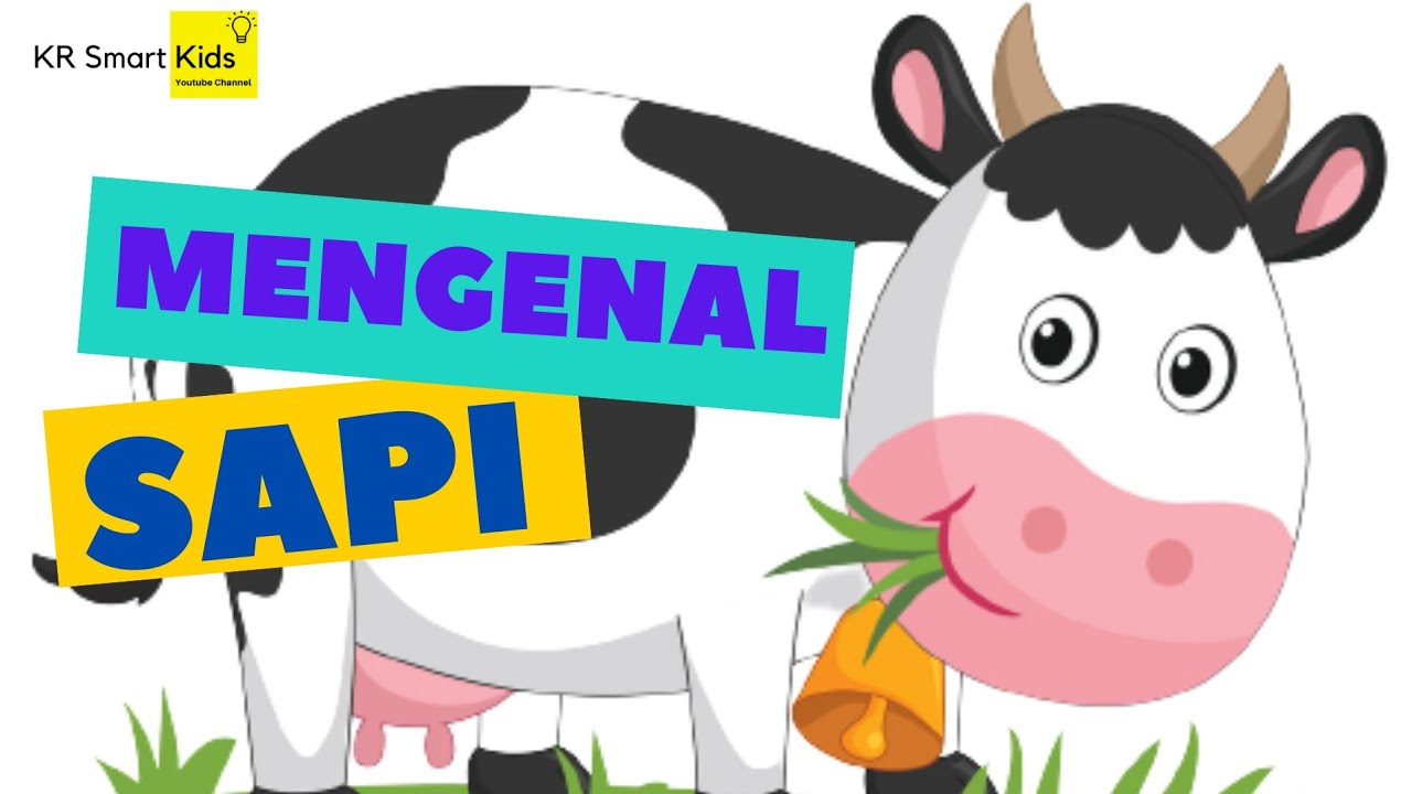 Mengenal Hewan Sapi dan Manfaatnya
