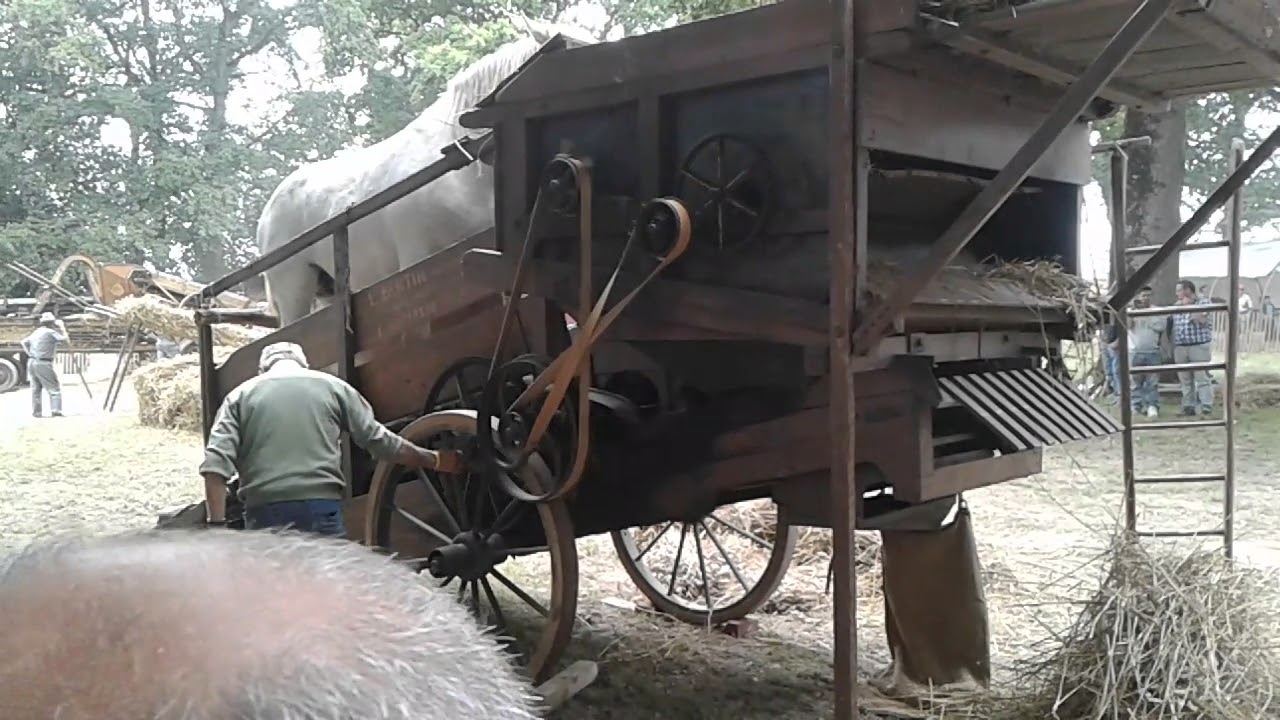 Horse powered threshing