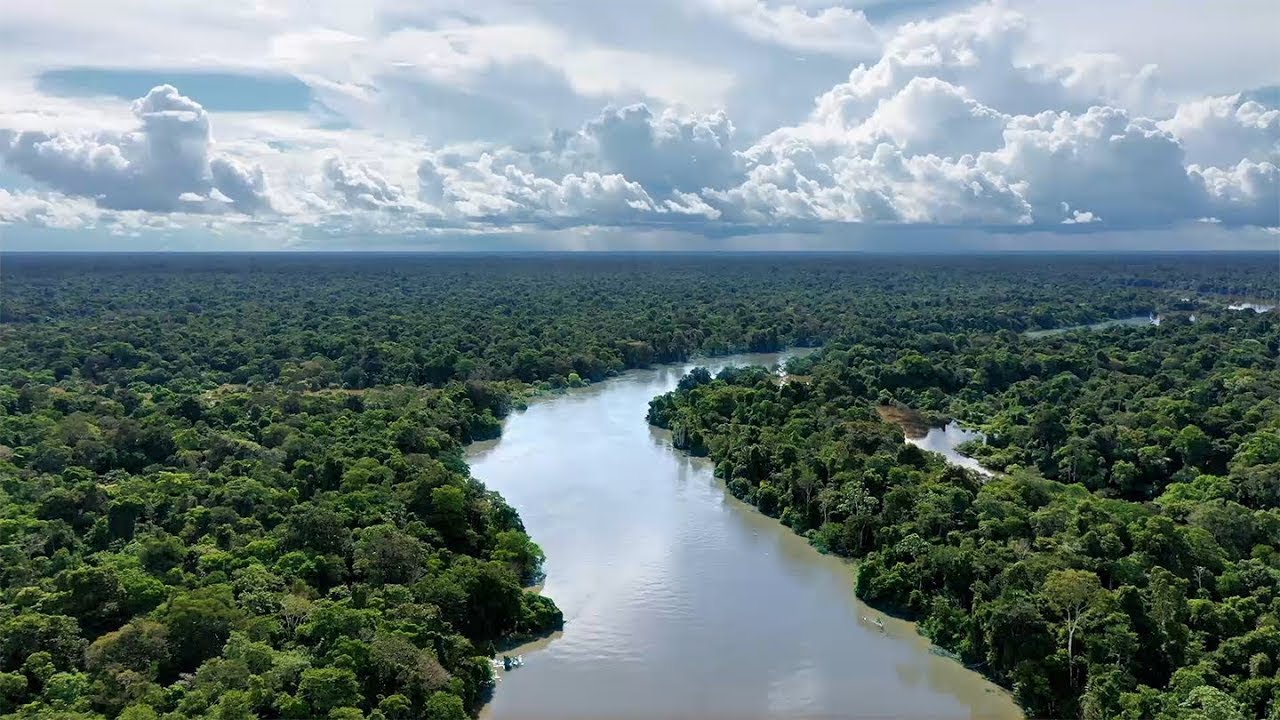 Rolex Perpetual Planet Initiative &ndash; Our Planet, Our Future