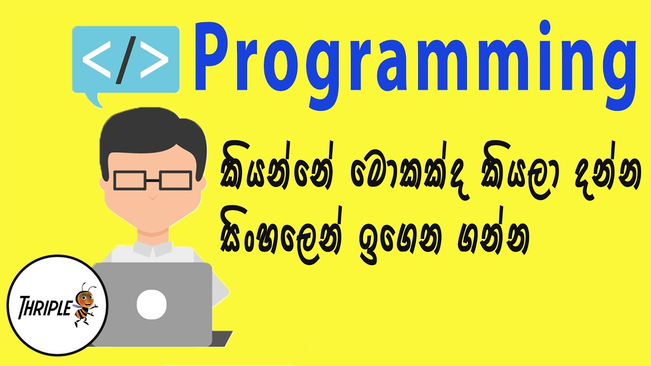 What is Programming Beginner Introduction - Sinhala