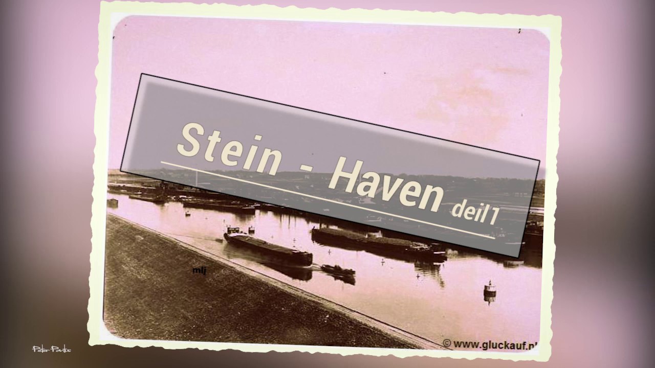 Haven Stein DEIL 1