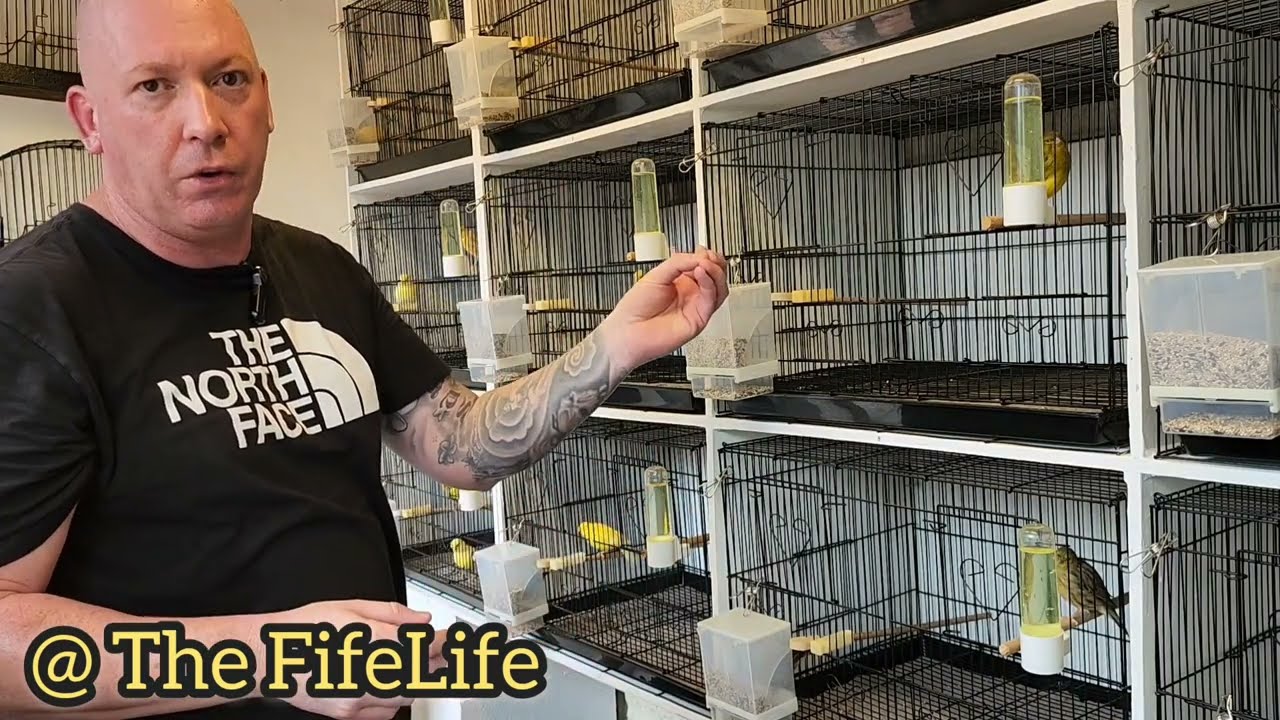 The FifeLife  - Journal #1 