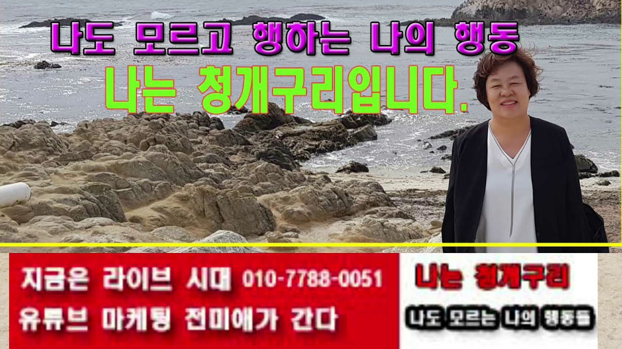 나는 청개구리입니다  나도 모르고 행하는 나의 행동 상처를 받기도 했지만 상처를 준적도 많았을텐데 상처받은 생각이 더 나네요