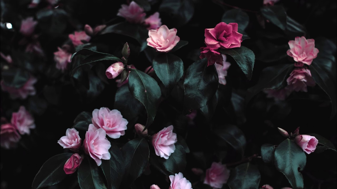 All To You - Sabrina Claudio (slowed)