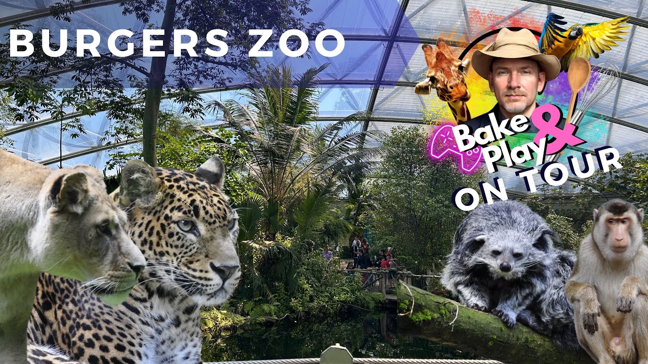 Bake & Play on Tour - Burgers Zoo Arnhem - Vlog