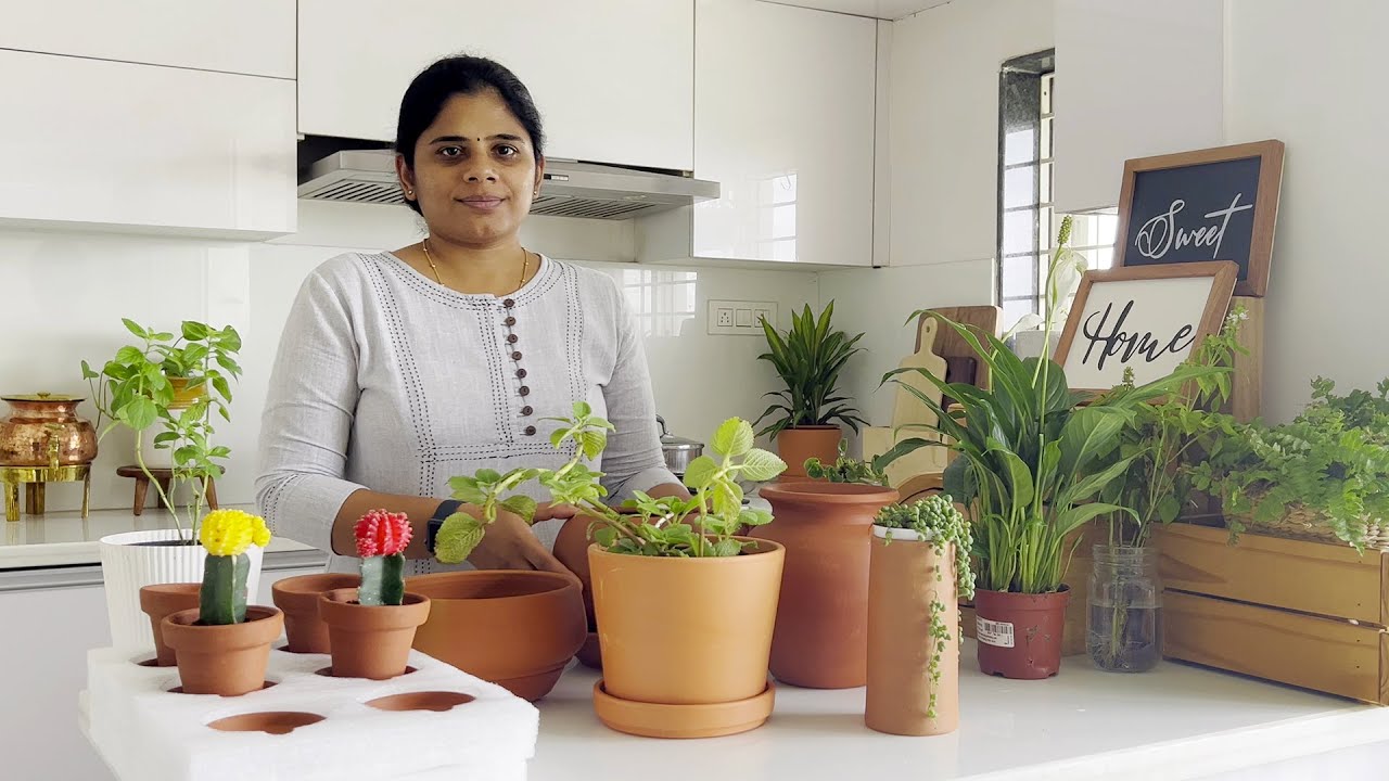 Healthy Food + Healthy Thinking=Healthy Living||B like Bindu😊