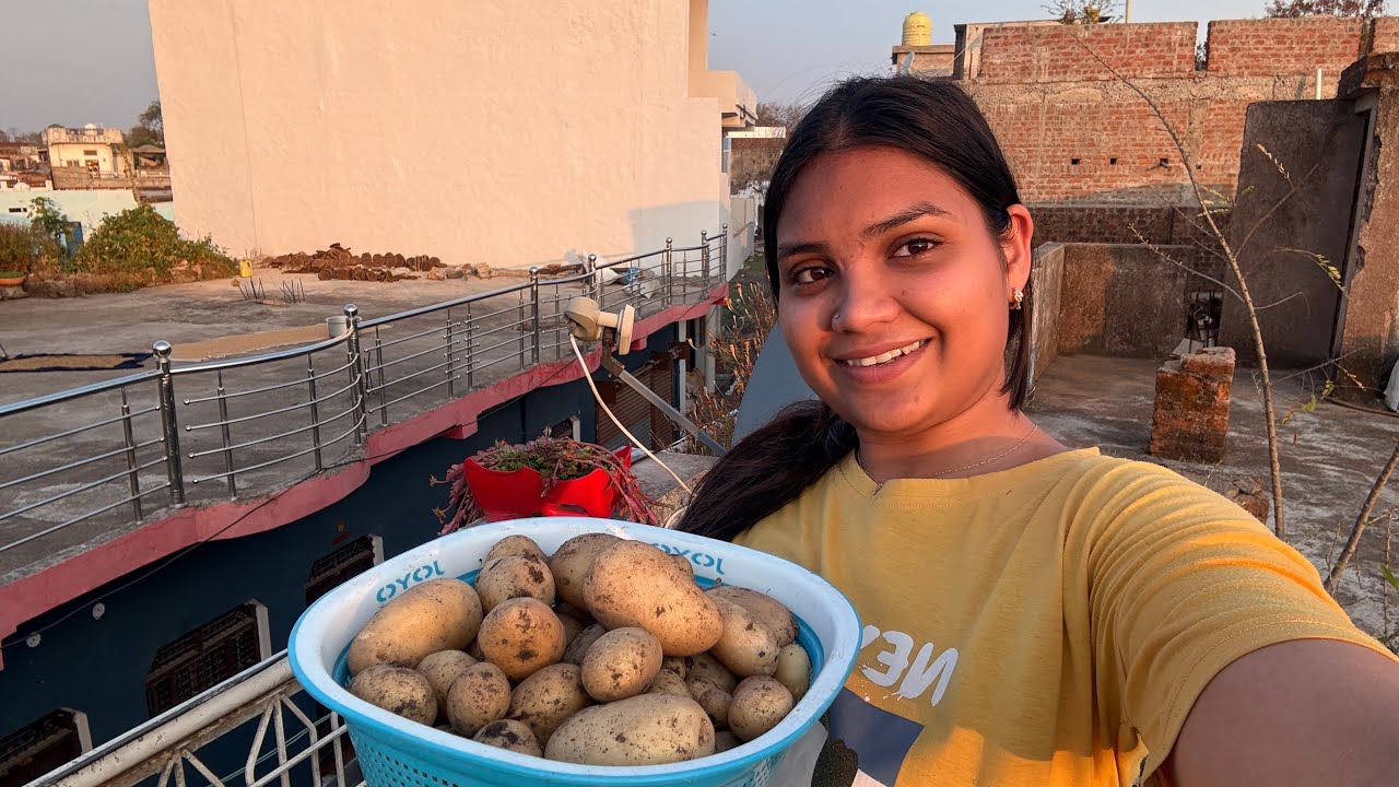 Maine pahli bar apne Teris garden me kiye Aalu harvest 😊