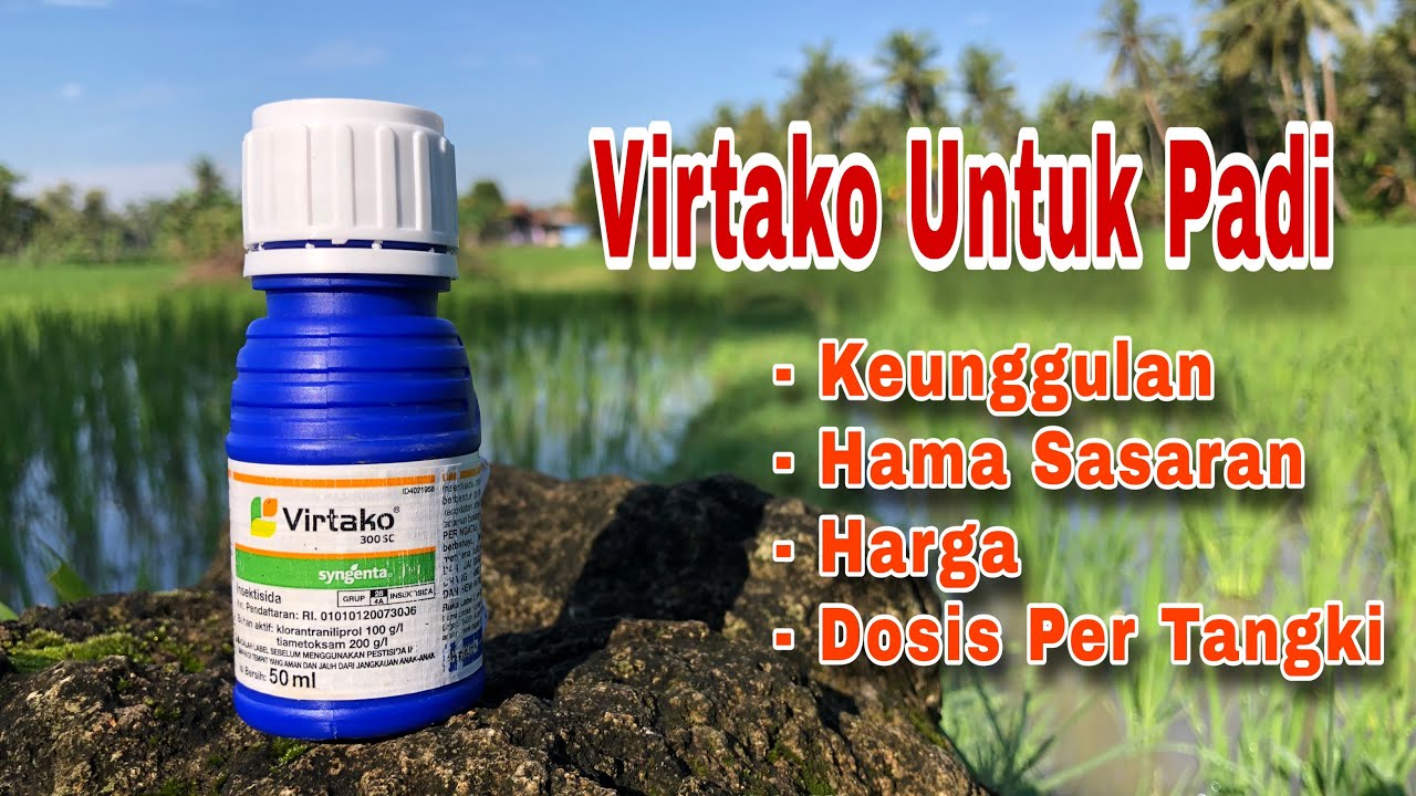 Insektisida Virtako Untuk Padi - Keunggulan, Harga, Hama Sasaran dan Dosis Pertangki