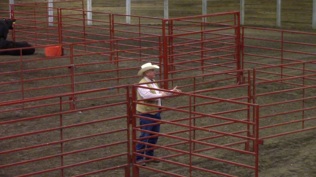 Ron Gill, Questions, Stockmanship/Stewardship 2019