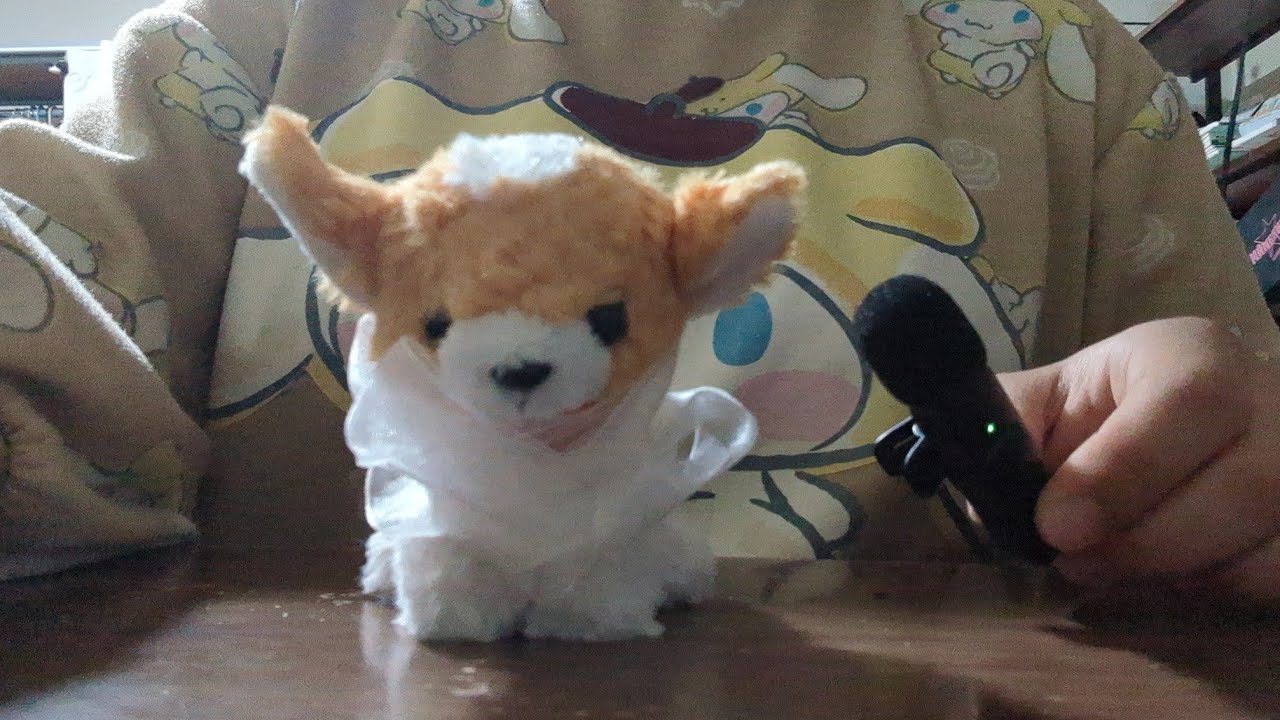 [ASMR] リボンで耳かき