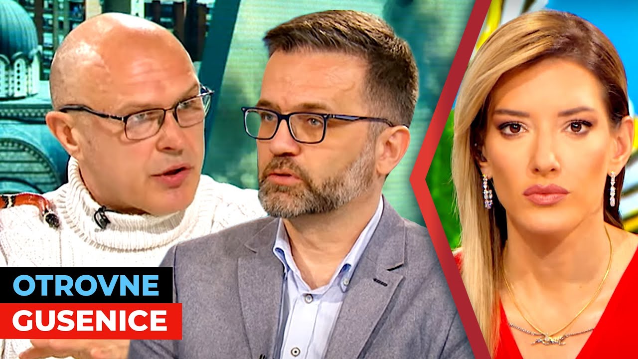 Otrovne gusenice I dr Miodrag Manigoda i Branislav Jakovljević I URANAK1