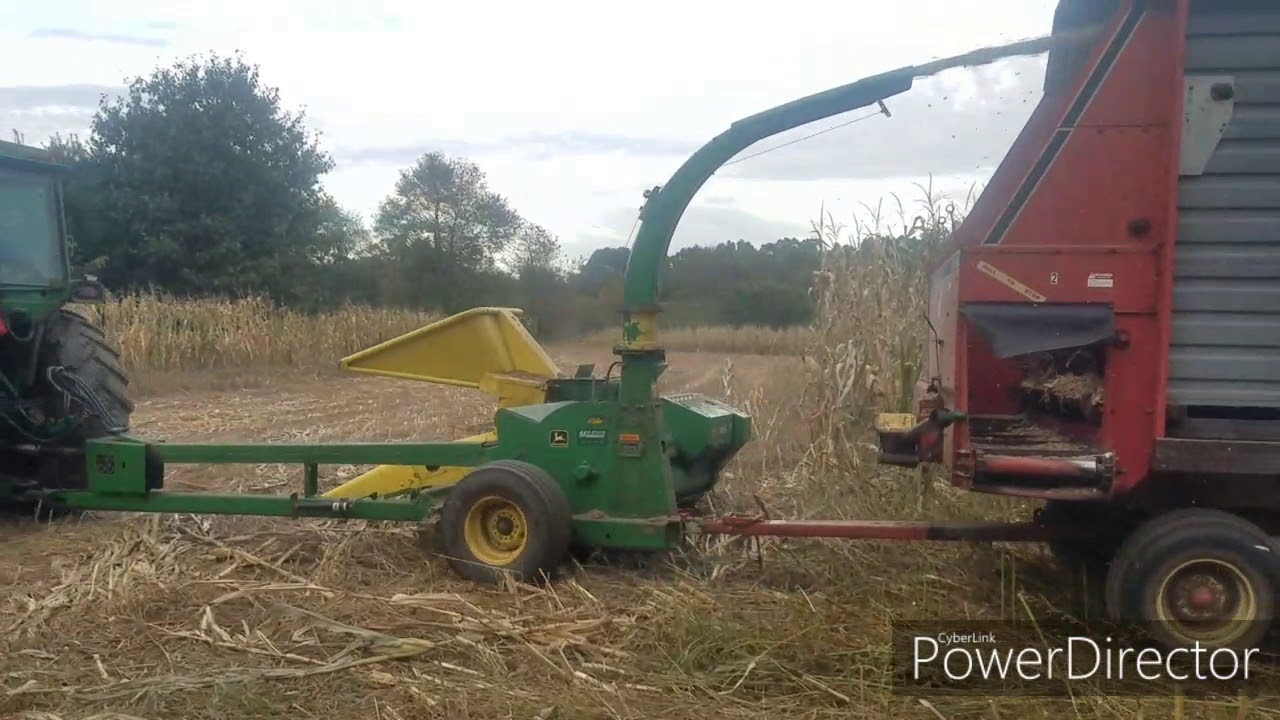 Chopping corn 2019! John Deere 4430, johm deere 3950
