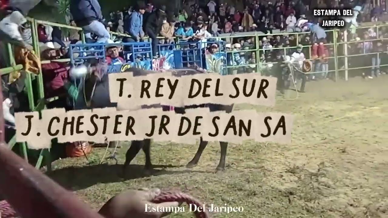 RANCHO 3 AMIGOS DE BALSAS GUERRERO EN SANTA CECILIA TEPETLAPA, XOCHI 2025 ¡¡CAYERON BUENOS JINETES!!