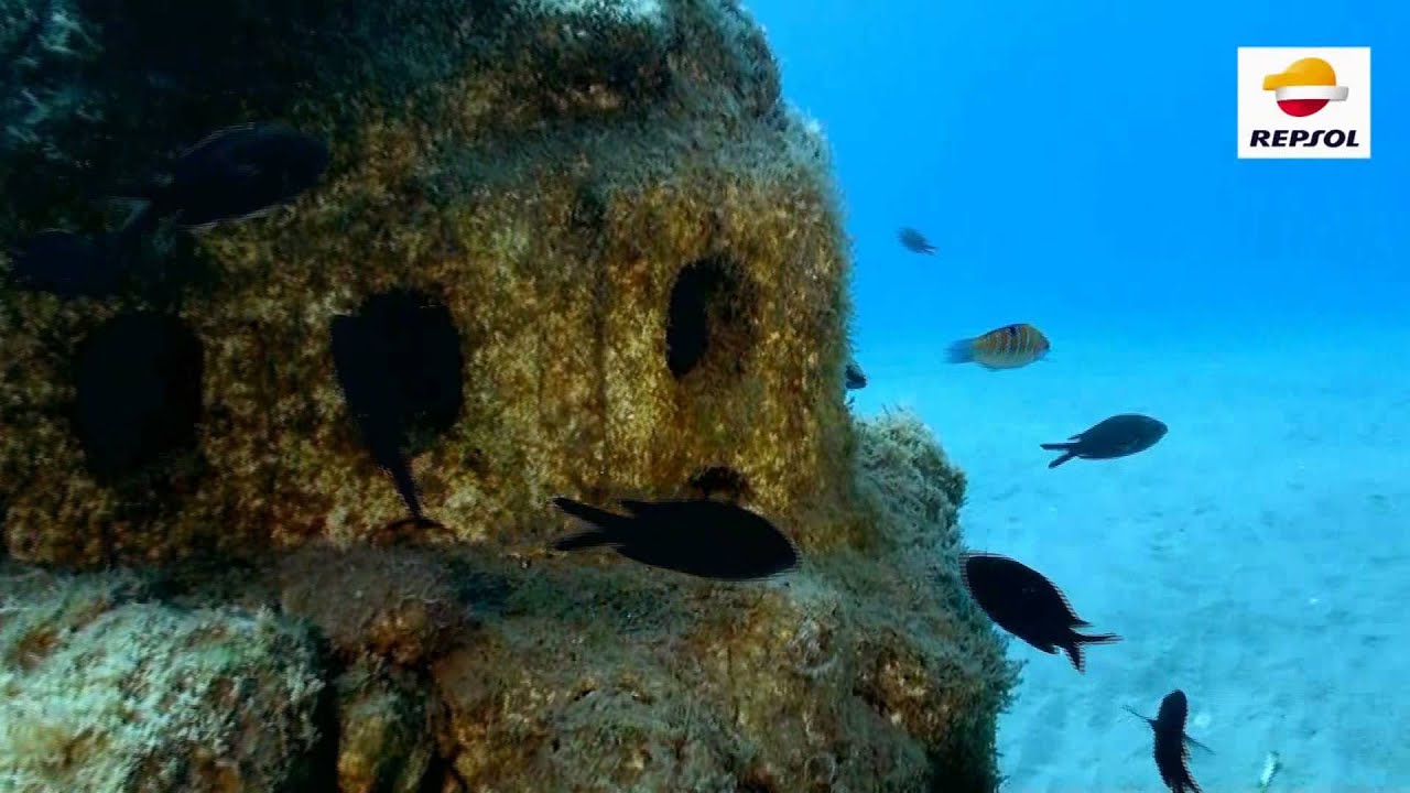BOYAS ECOLÓGICAS - TORREDEMBARRA