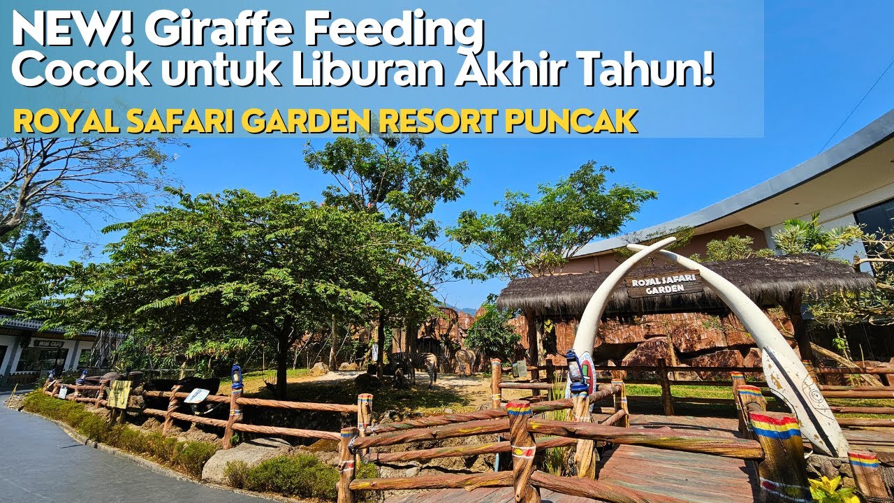 NEW! Giraffe Feeding | Hotel Cocok untuk Liburan Anak | Full Review Royal Safari Puncak 2023