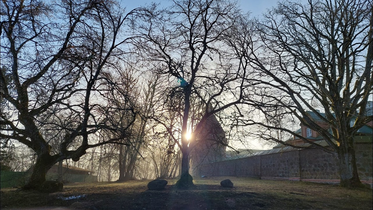 19.03.26. Четверг. Великое повечерие. Утреня. Сщмчч. Василия, Ефрема, Капитона и других.