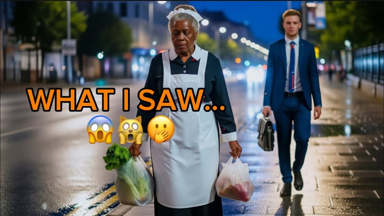 BILLIONAIRE SECRETLY FOLLOWED HIS OLD MAID AFTER WORK   WHAT HE DISCOVERED LEFT HIM SPEECHLESS