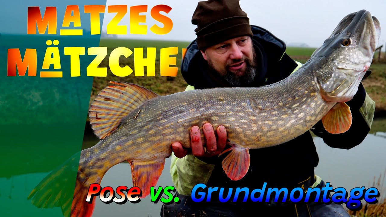 Matzes Mätzchen - Pose vs. Grundblei