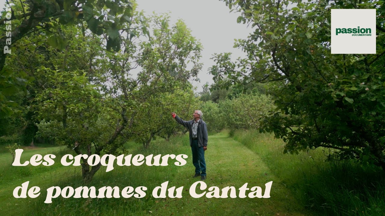 Les Croqueurs de pommes du Cantal