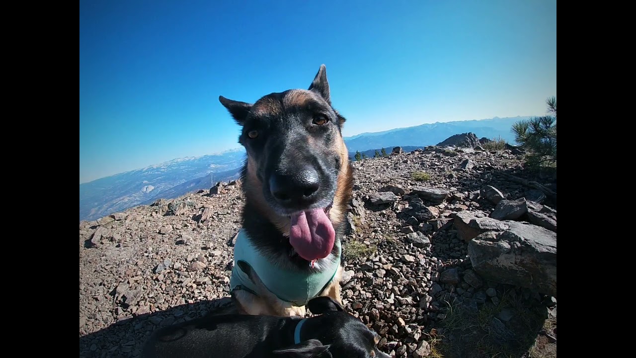 Kaiser Wilderness 8/4/21