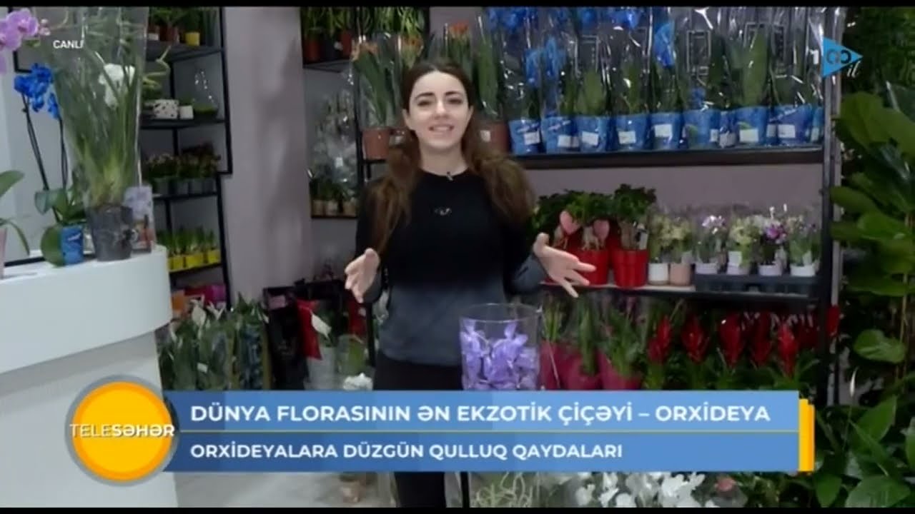 Dünya florasının ən ekzotik çiçəyi - Orxideya