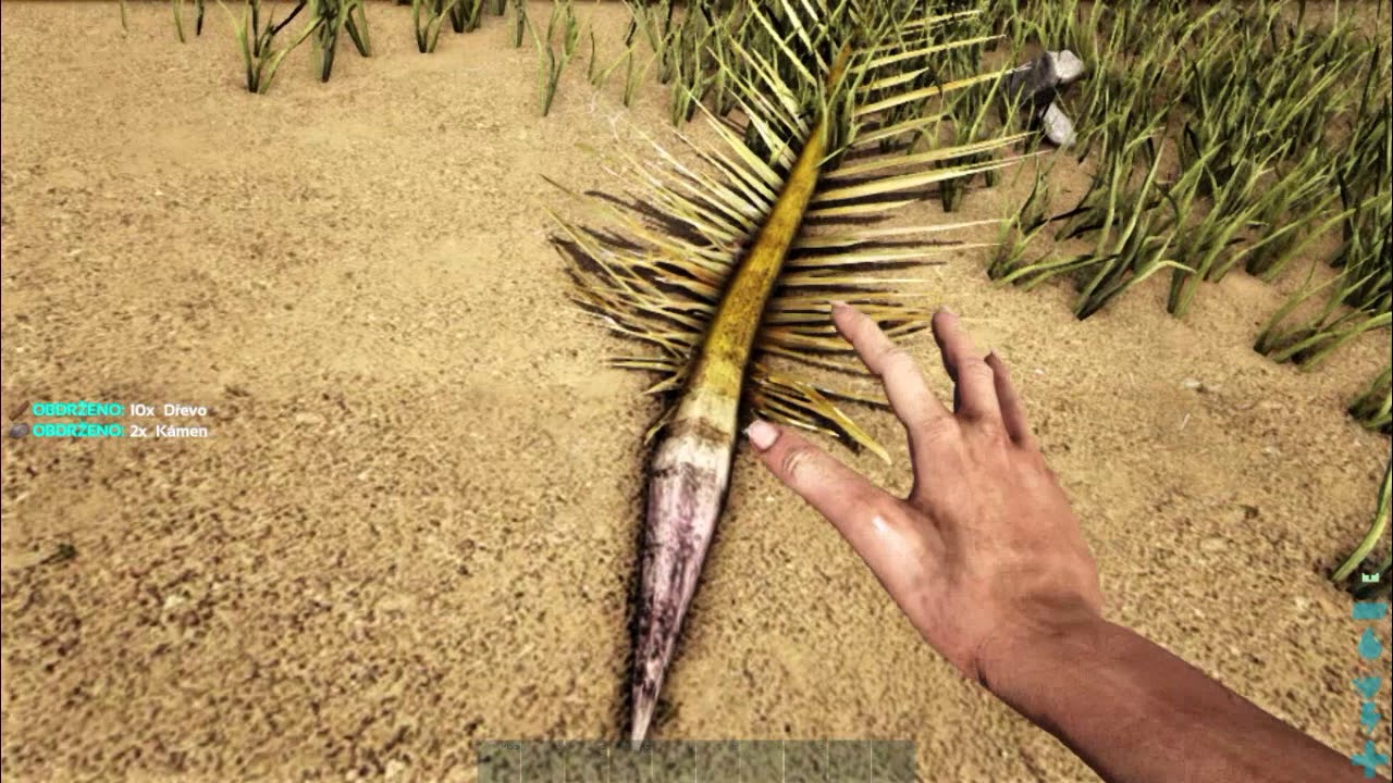 ARK : Ragnarok 01 | Začínáme | cz