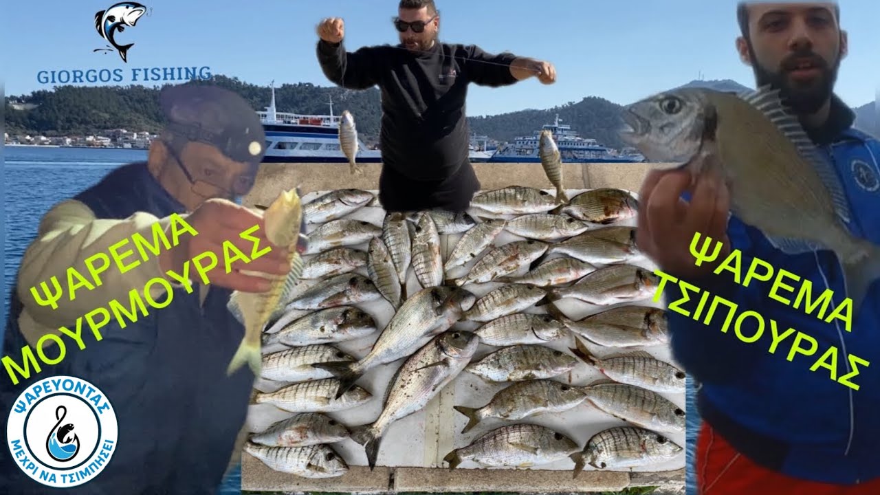 ΨΑΡΕΜΑ ΤΣΙΠΟΥΡΑΣ ΚΑΙ ΜΟΥΡΜΟΥΡΑΣ ΣΤΗΝ ΘΑΣΟ