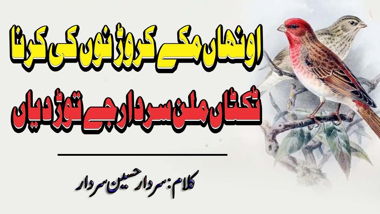 Ohna Makay Karoor Nu Ki karna Jay Tiktan - Kalam Sardar Hussain Sardar -  Sufi Punjabi Kalam