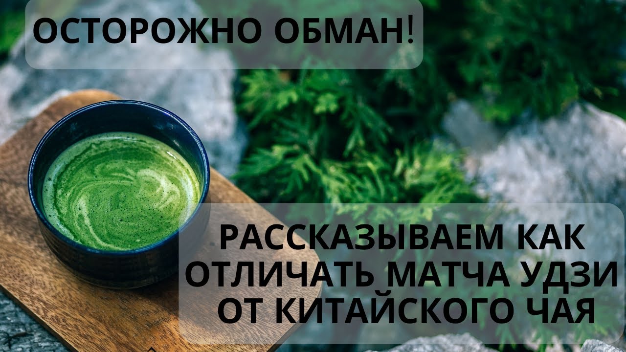 Как НЕ купить зеленый чай по цене Матча Удзи! На что обращать внимание при покупке