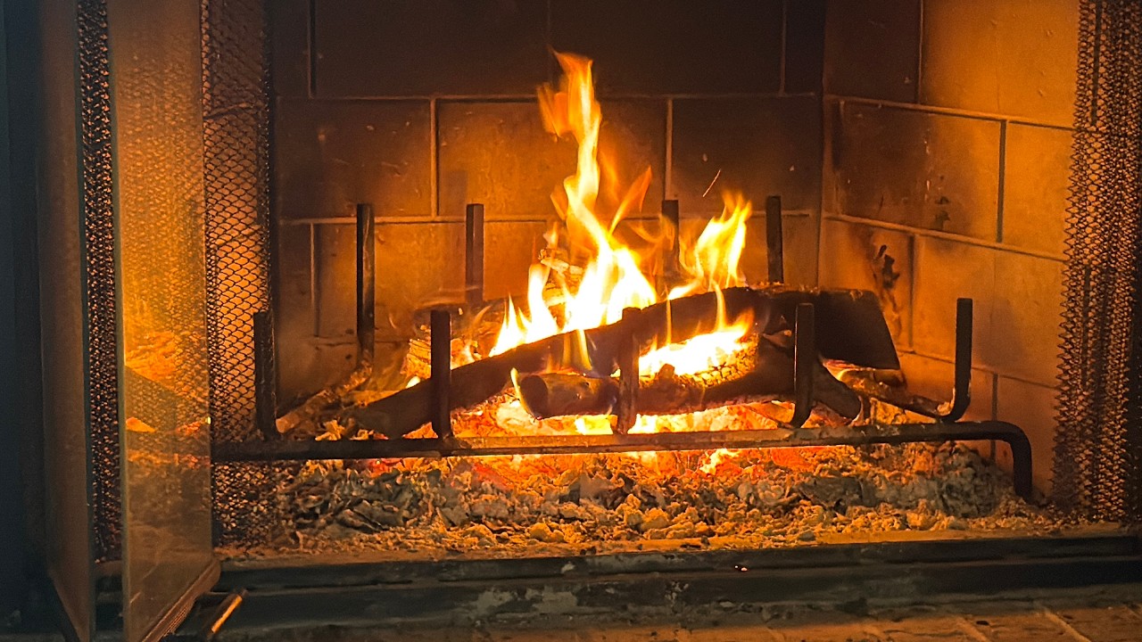 Fireside Bible Study Psalm 119 Lamedh