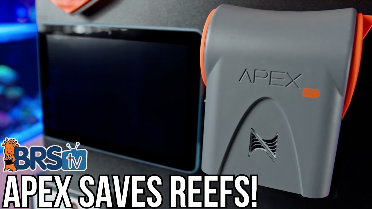 Every Reef Deserves Apex-Level Protection!