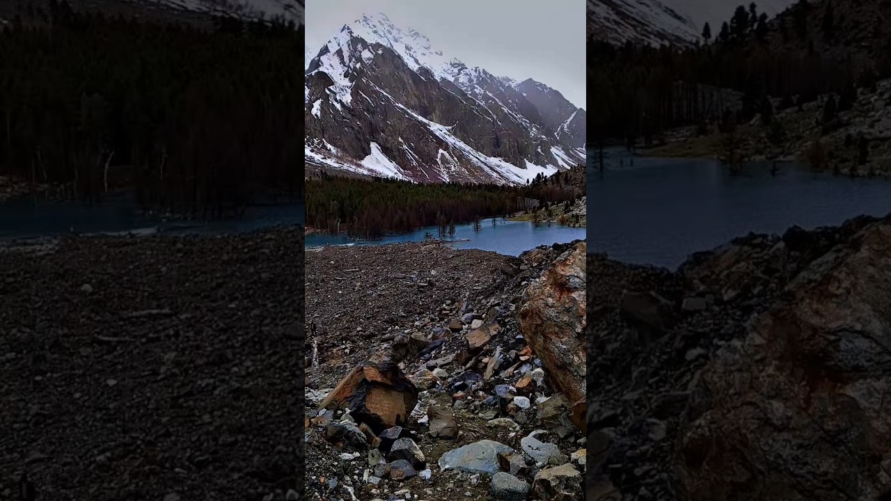 Pakistan's Hidden Paradise: Discovering the Untouched Naltar Valley