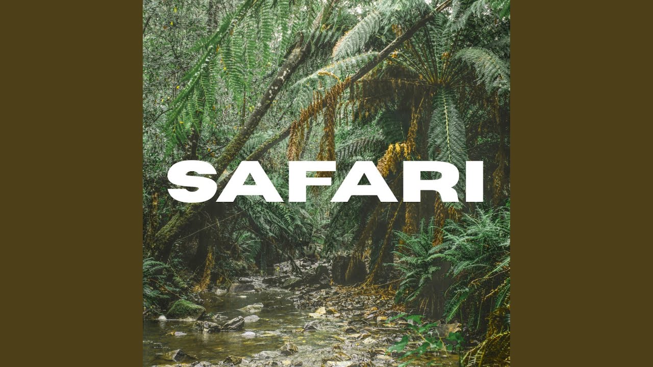 Safari