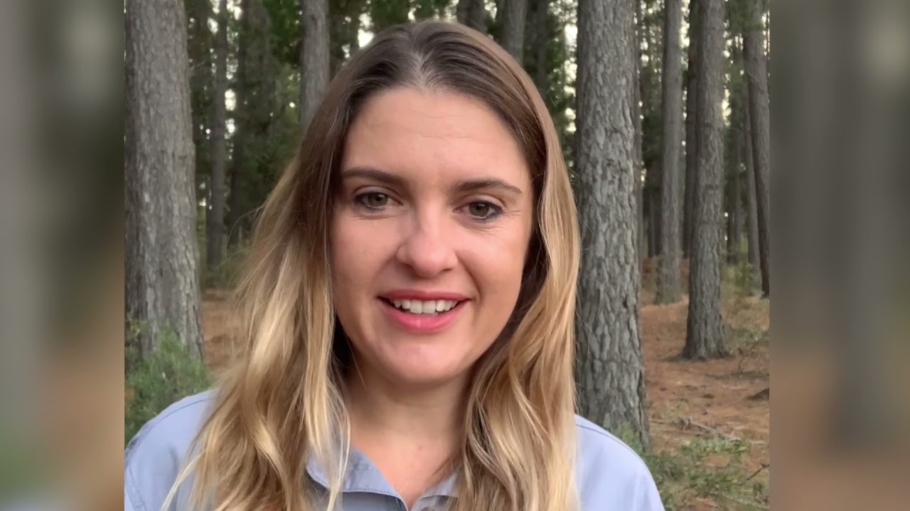 PeaceParks.TV Explained