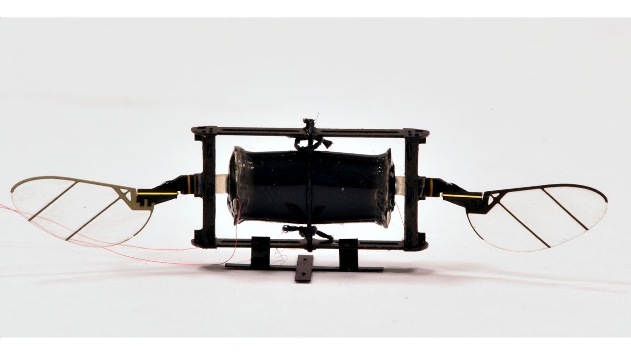 Insect-like robots