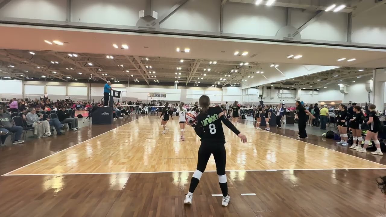 UA Bluegrass D2 M1 S1 - Gold