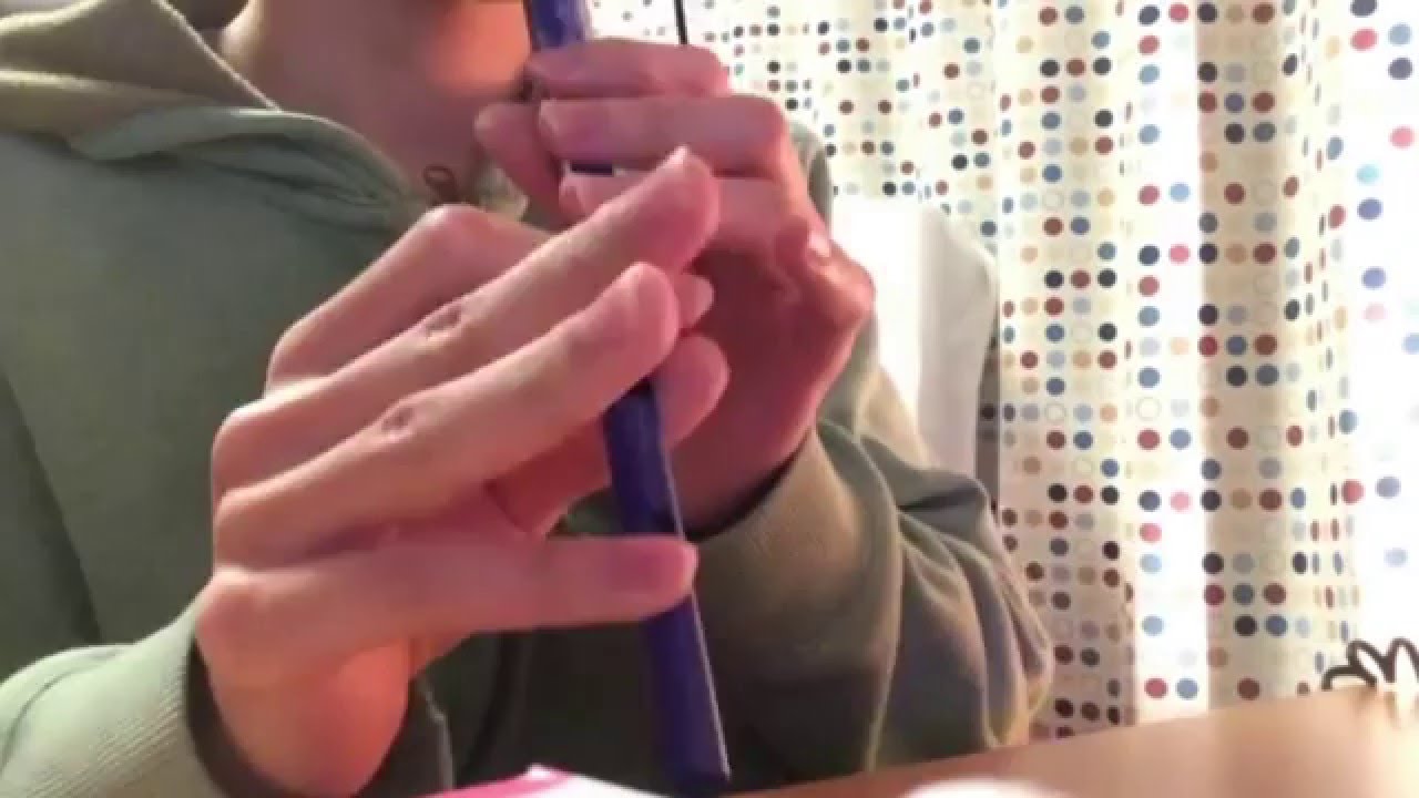 【ソフィーのアトリエ】雲雀東風をティンホイッスルで【Tin whistle】