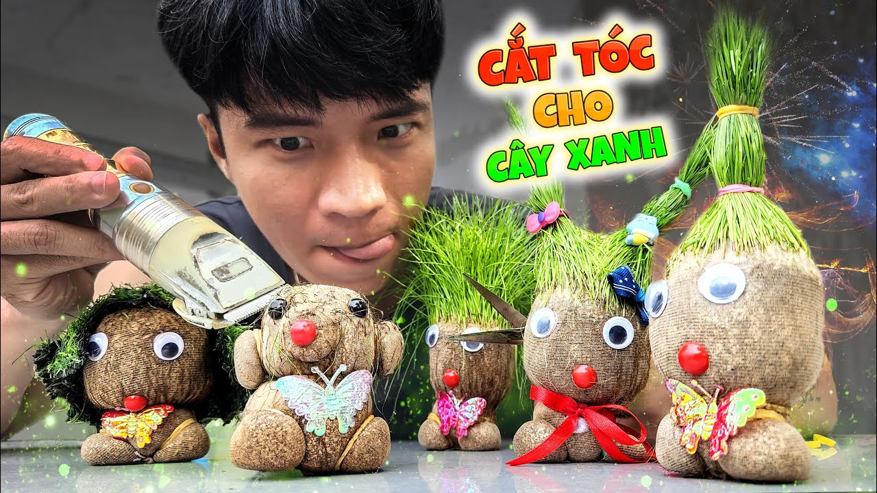 Tony | Cắt Tóc Cho Cây Xanh 🍃 𝐇𝐚𝐢𝐫𝐜𝐮𝐭 𝐅𝐨𝐫 𝐓𝐫𝐞𝐞𝐬