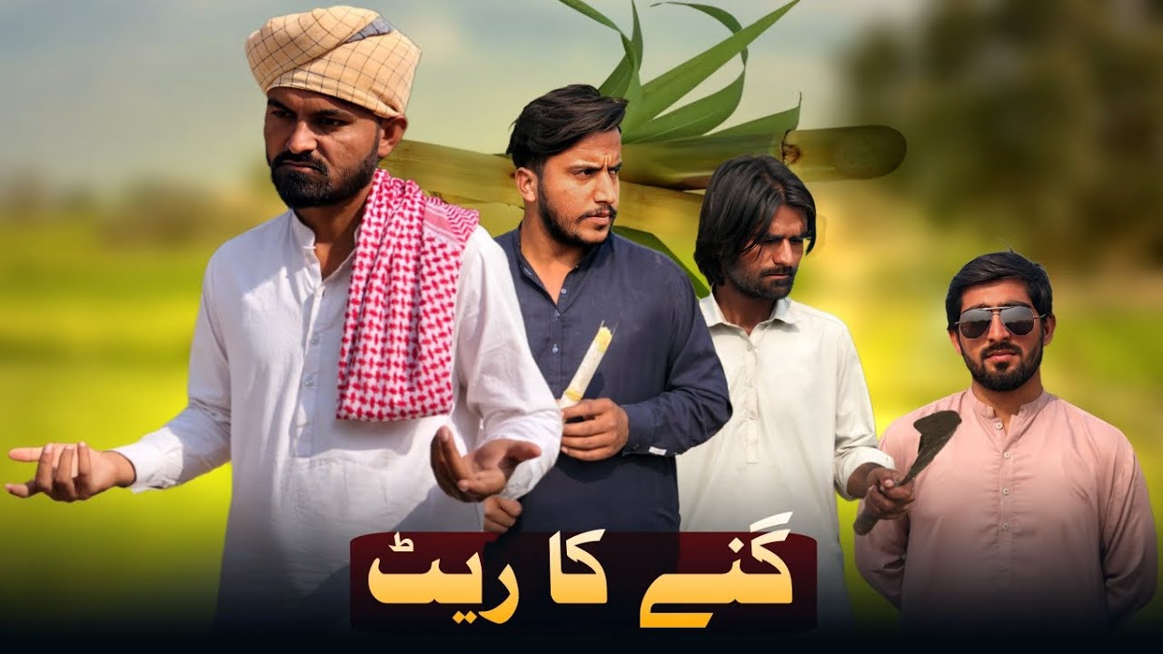Ganny Ka Rate l Kisaan k Masail l BASHARA MEDIA 