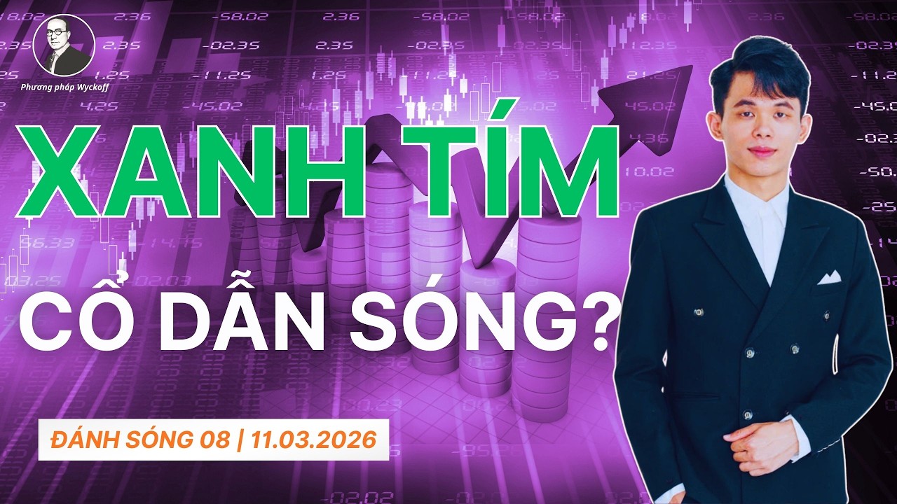 Đánh Sóng 08 | Xanh Tím Có Dẫn Sóng? Chiến Lược Đánh Sóng Thị Trường