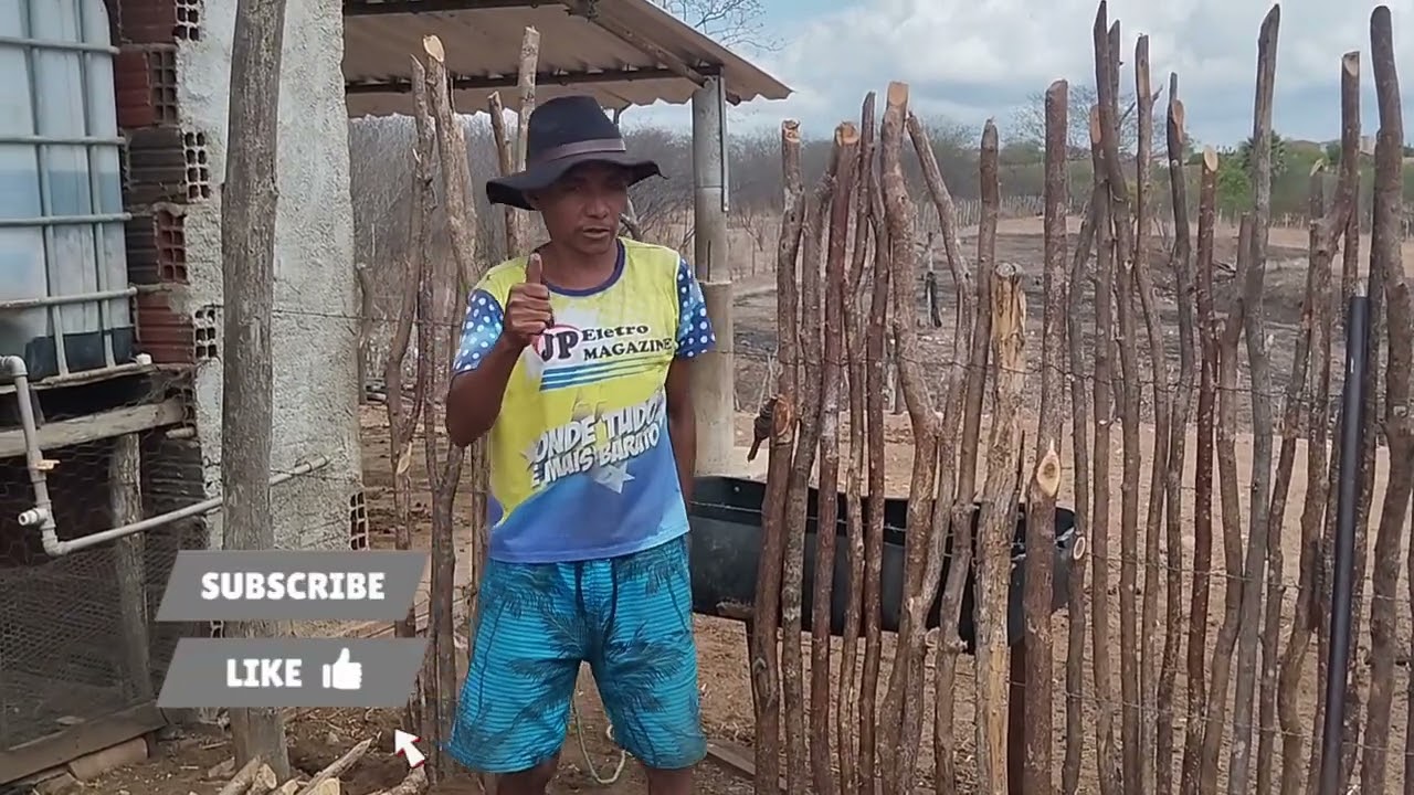 Fazendo cercado para as galinhas