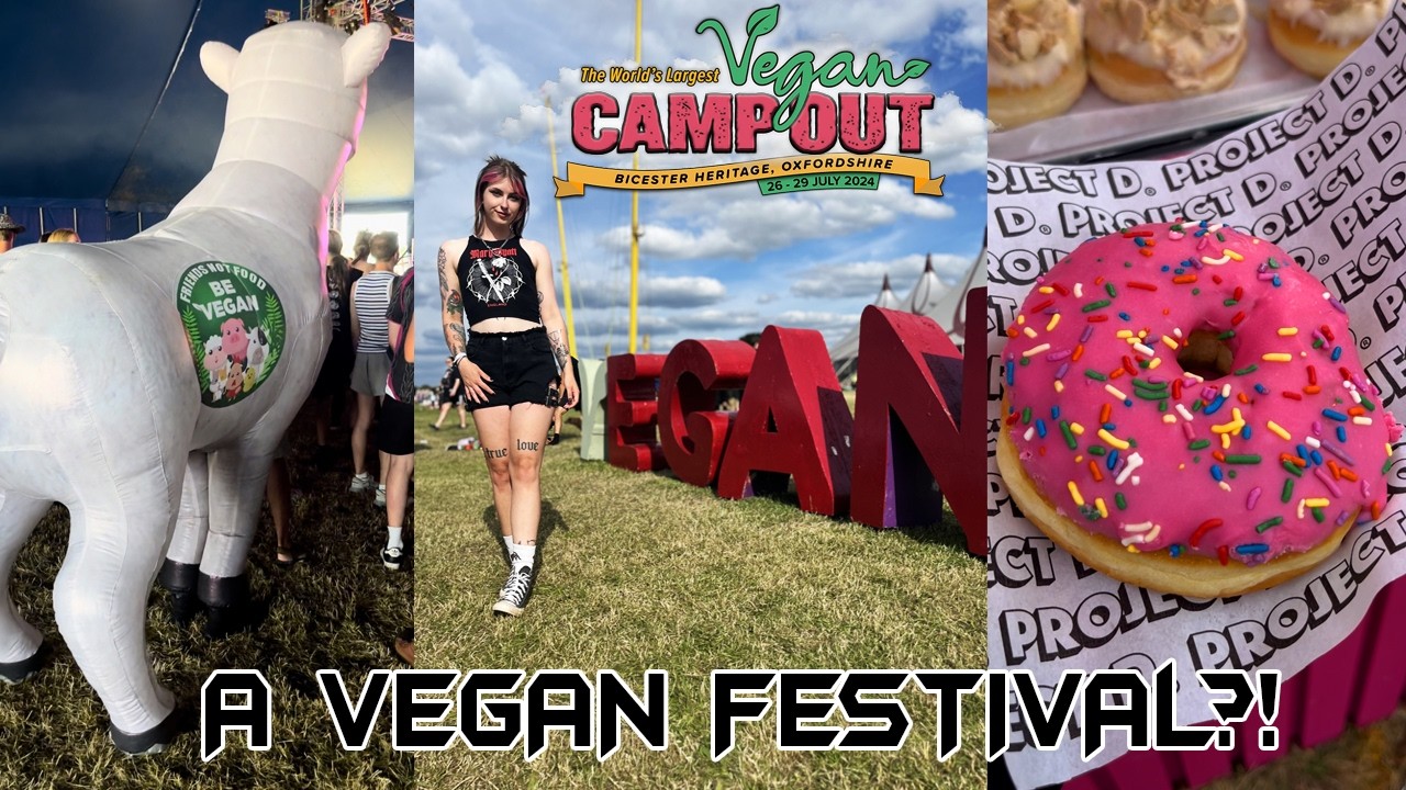 A VEGAN FESTIVAL?! Vegan Camp Out 2024 Vlog