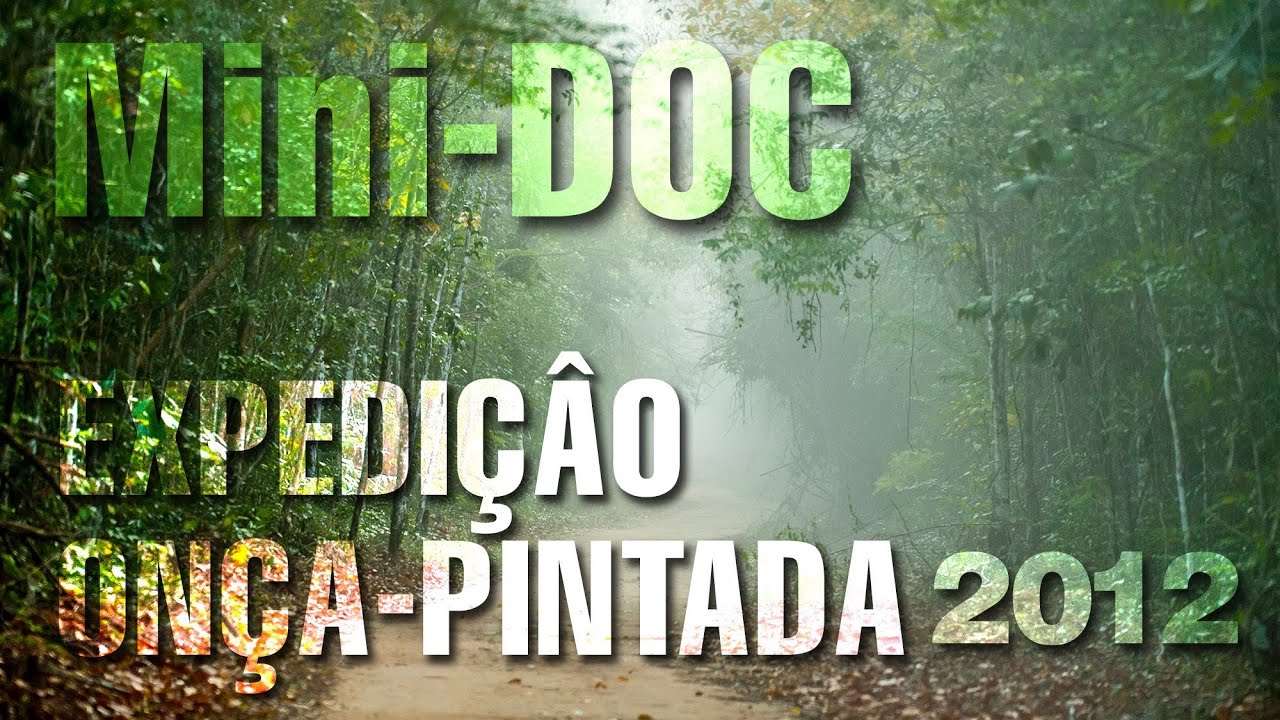 Expedi&ccedil;&atilde;o On&ccedil;a-Pintada, Sooretama/ES (Mini Document&aacute;rio, 2012)