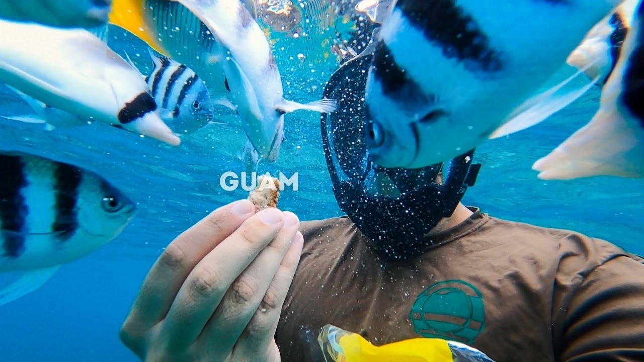 Snorkeling Fish Eye Marine Park || GUAM