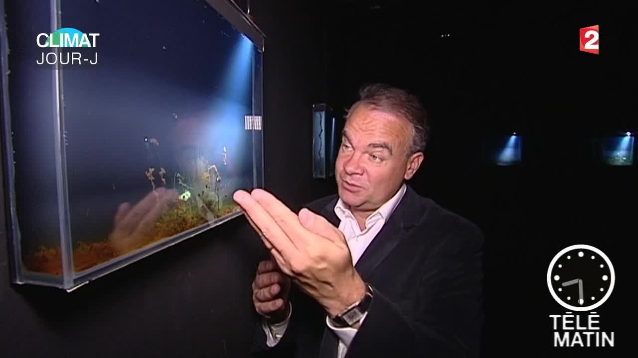 Visite guid&eacute;e - Climats Artificiels &agrave; la Fondation EDF ! - 2015/11/30